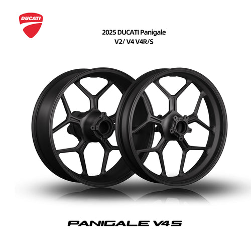TARNS Forged  Wheel- 2025 Ducati Panigale V4/V2 Double-Sided Swingarm Compatible, MotoGP Factory Team Edition